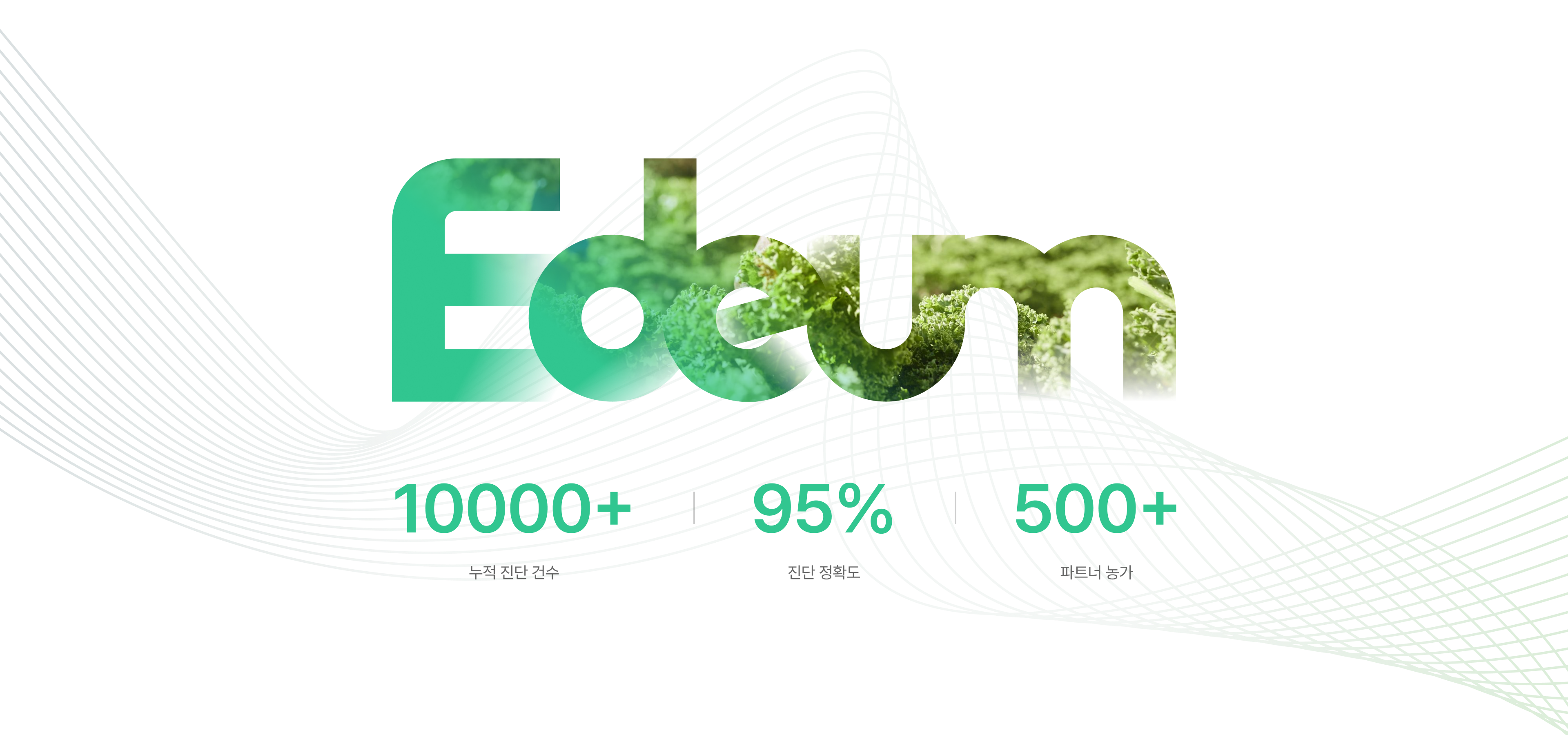 Edeum, 누적 진단 건수 10000건 이상, 진단 정확도 95퍼센트, 파트너 농가 500곳 이상